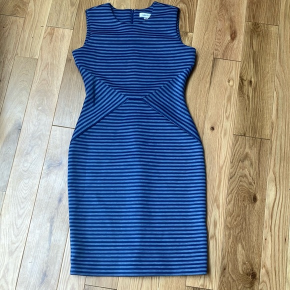 Calvin Klein Dresses & Skirts - Calvin Klein blue striped fitted dress size 6